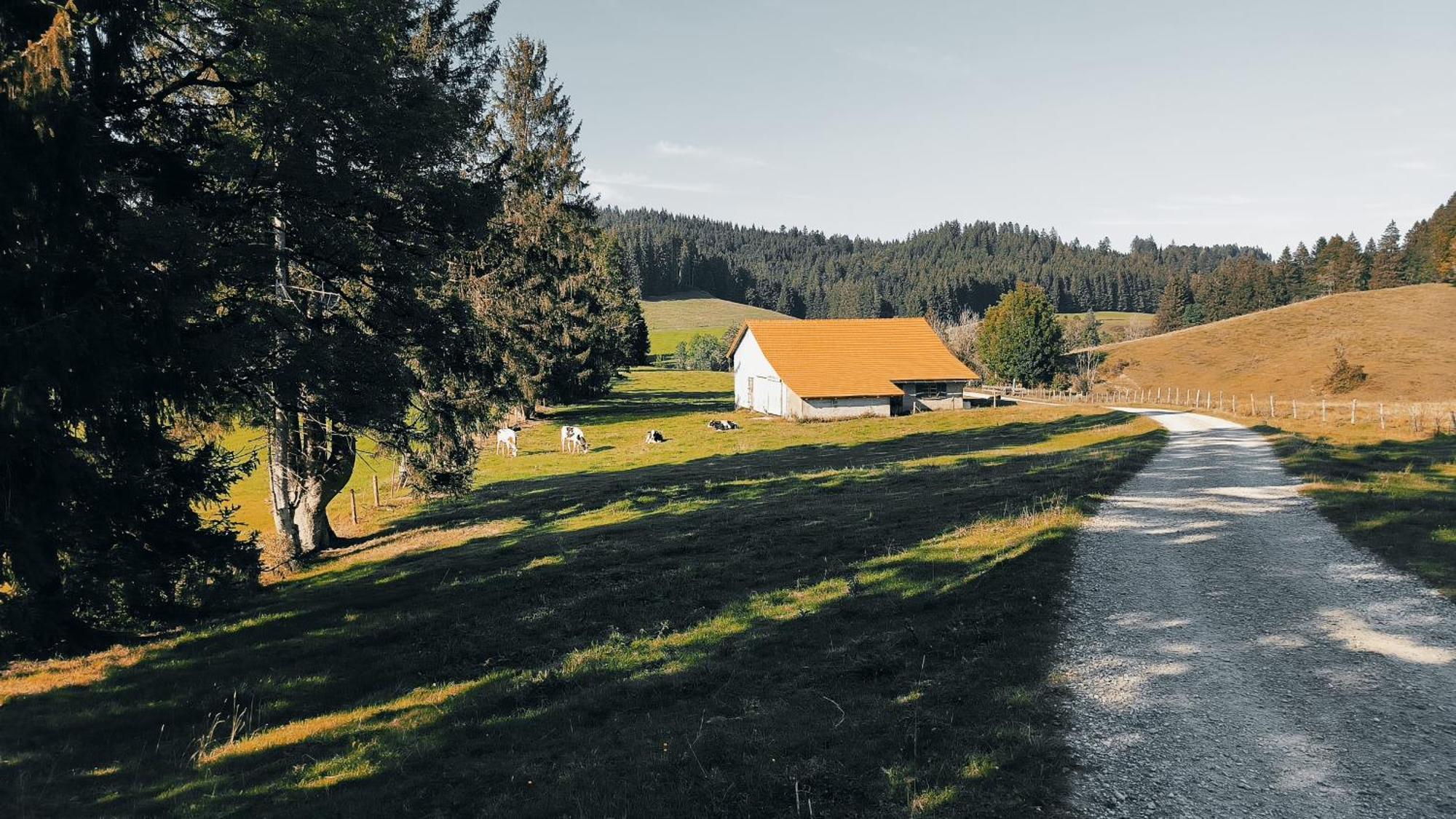 Apartment Allgaeuerle1604 Mit Hallenbad, Sauna Und Wlan Missen-Wilhams