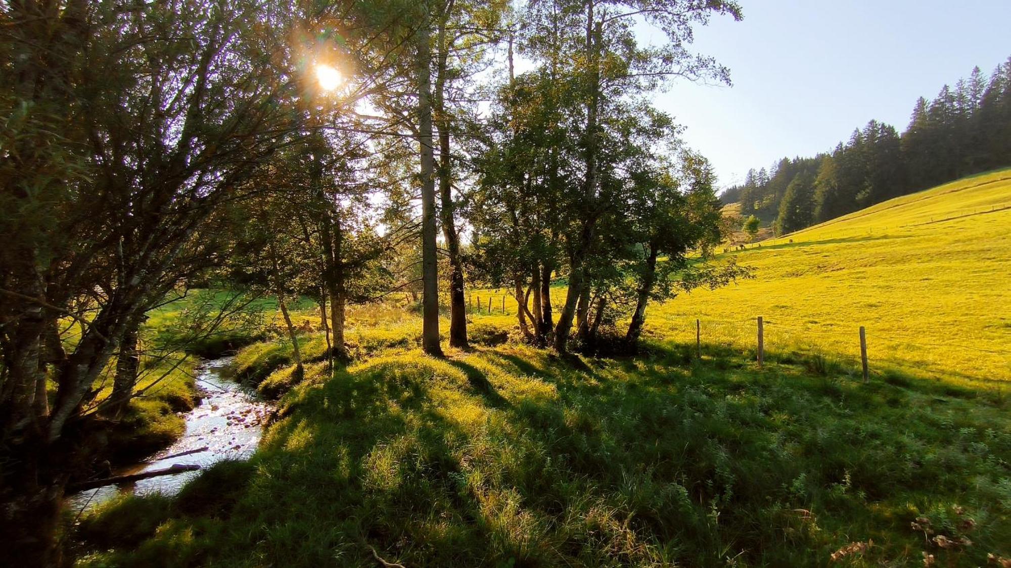 Allgaeuerle1604 Mit Hallenbad, Sauna Und Wlan Apartment *